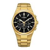 Citizen Chronograph Gold Stainless Steel Strap Men Watch AN8173-51E