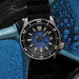 Marine Majesty - CWH Collective Date Display Stainless Steel Rubber Strap Diver’s Watch CH-MOD-M7