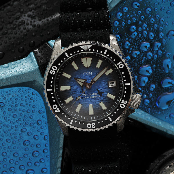 Marine Majesty - CWH Collective Date Display Stainless Steel Rubber Strap Diver’s Watch CH-MOD-M7