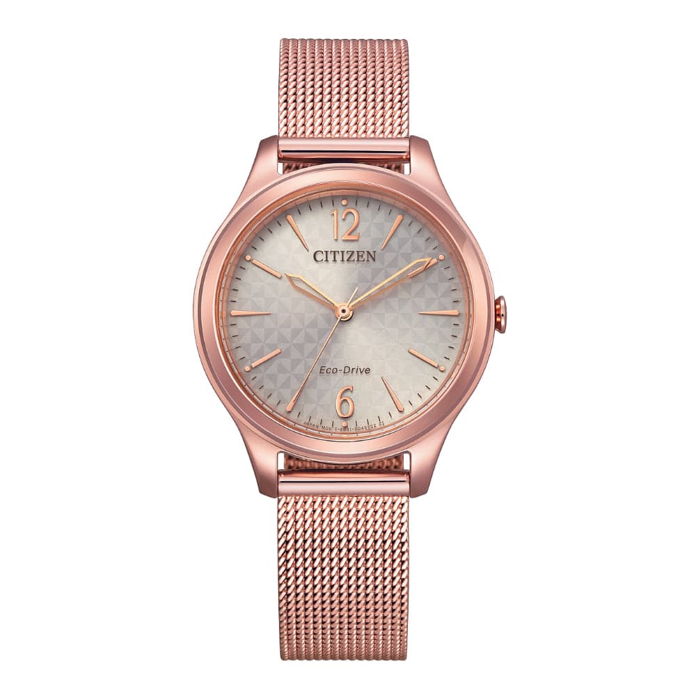 Seiko eco drive hot sale women's watch